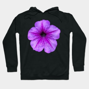 Petunia Sticker Flower Magnet Hoodie